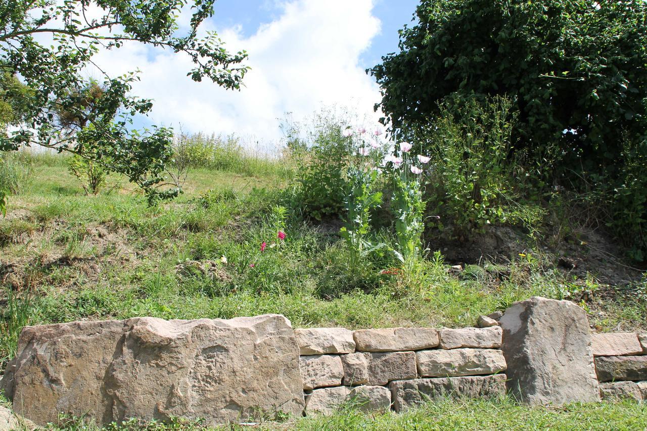 Hainhof Gaestewohnungen Bad König Εξωτερικό φωτογραφία